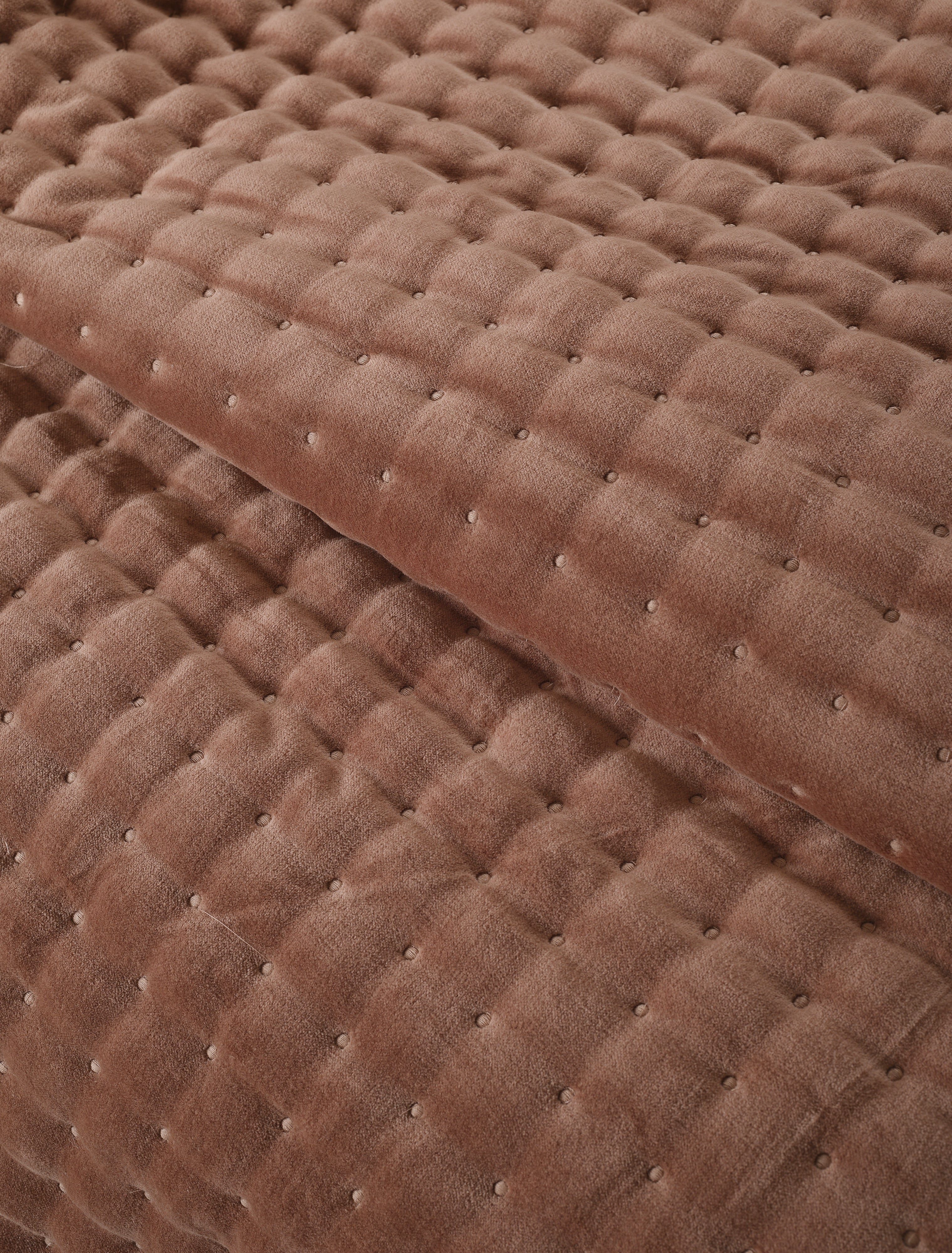 Velvet Bliss Dot Plum